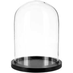 Glaskuppel, Ø 23 cm, schwarze Basis