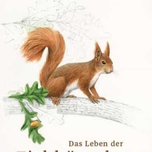 Das Leben der Eichhörnchen