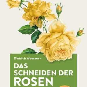 Das Schneiden der Rosen