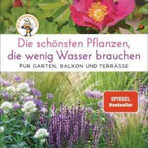 Die schönsten Pflanzen, die wenig Wasser brauchen für Garten, Balkon und Terrasse