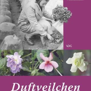 Duftveilchen