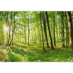 MuchoWow Balkonsichtschutz Natur - Bäume - Wald - Grün - Sonnenlicht (1-St) Balkonbanner, Sichtschutz für den Balkon, Robustes und wetterfest