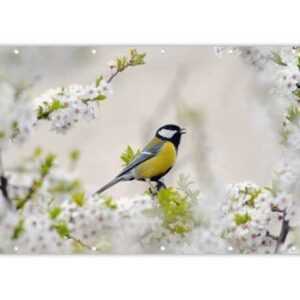 MuchoWow Balkonsichtschutz Vogel - Kohlmeise - Blumen - Blütenbaum (1-St) Balkonbanner, Sichtschutz für den Balkon, Robustes und wetterfest