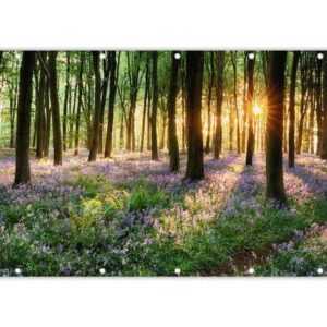 MuchoWow Balkonsichtschutz Wald - Blumen - Lavendel - Sonne - Lila - Natur (1-St) Balkonbanner, Sichtschutz für den Balkon, Robustes und wetterfest