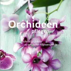 Orchideen pflegen