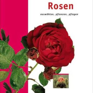 Rosen