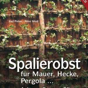 Spalierobst für Mauer, Hecke, Pergola...