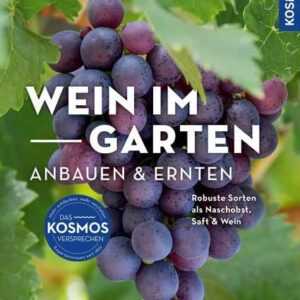 Wein im Garten anbauen & ernten