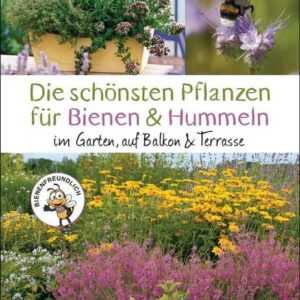 Die schönsten Pflanzen für Bienen und Hummeln. Für Garten, Balkon & Terrasse