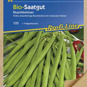 BIO Buschbohnen Bio-Buschbohne grün (Maxi) Bio-Saatgut