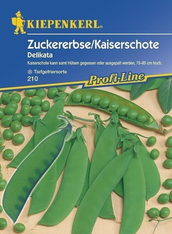 Zuckererbsen Kaiserschote Delikata tolerant