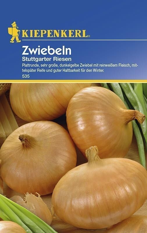 Zwiebeln Stuttgarter Riesen | bewährte