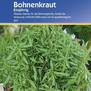 Bohnenkraut Cyrano einjährig