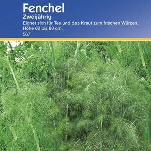 Fenchel Fruchtfenchel mehrjährig