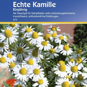 Kamille echte einjährig