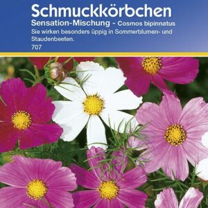 Cosmos Schmuckkörbchen Sensation-Mischung