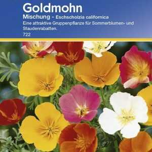 Eschscholzia Goldmohn Mischung