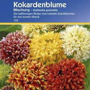 Gaillardia Kokardenblume Mischung