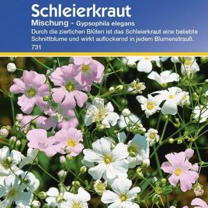 Gypsophila Schleierkraut einjährig Mischung