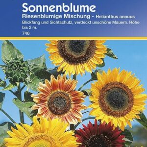 Sonnenblume Riesenblumige Mischung | stark- und schnellwachsende Gartenblume | gute Schnittblume