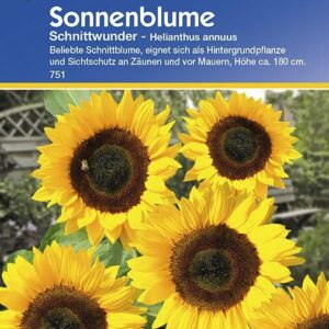 Sonnenblume Schnittwunder