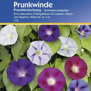 Ipomoea purpurea Prunkwinde Prachtmischung