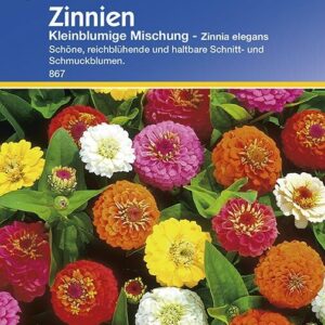 Zinnia elegans Zinnien kleinblumige Mischung