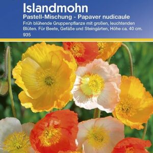 Papaver nudicaule Islandmohn pastellfarbende Mischung