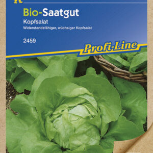 BIO Kopfsalat Bio-Saatgut