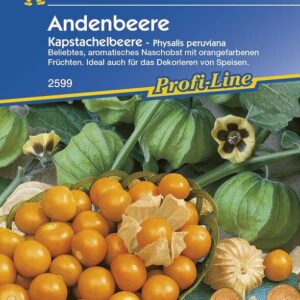 Andenbeeren Kapstachelbeere (Physalis peruviana)