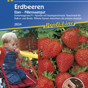 Erdbeeren Elan F1 Pillensaat