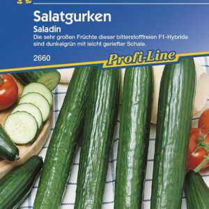 Salatgurken Saladin F1