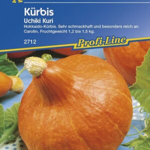 Kürbis Uchiki Kuri (Hokkaido-Typ)