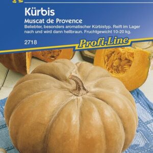 Kürbis Muskatkürbis Muscat de Provence