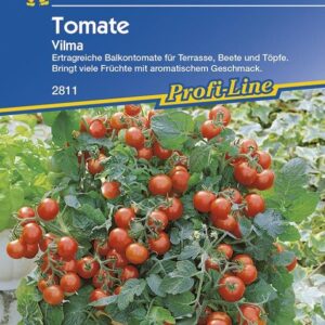 Tomaten Balkontomate Vilma