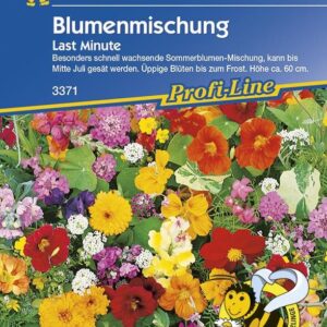 Blumenmischung Last Minute | schnell wachsende Sommerblumen | Aussaat bis Juli | Nektarspender