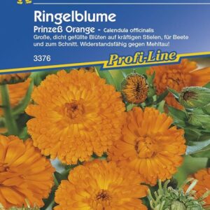 Ringelblume Prinzess Orange | dicht gefüllte Blüten mit kräftigen Stielen | zum Schnitt geeignet