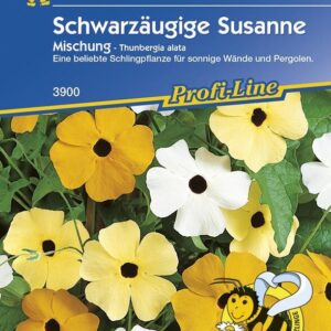 Schwarzäugige Susanne