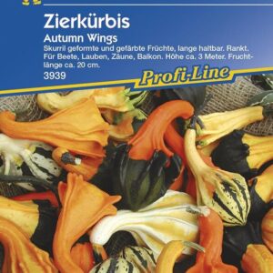 Zierkürbis Autumn Wings | skurril geformte Früchte in auffälligen Farben