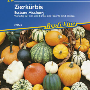 Cucurbita pepo Zierkürbis Essbare Zierkürbismischung