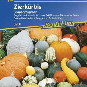 Cucurbita pepo Zierkürbis Sonderformenmischung