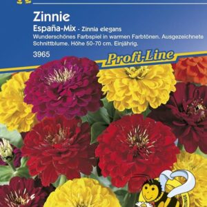 Zinnia Zinnie Espana Mix