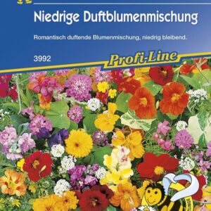 Niedrige Duftblumenmischung Duftender Steingarten