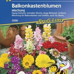 Balkonkastenblumen Mischung