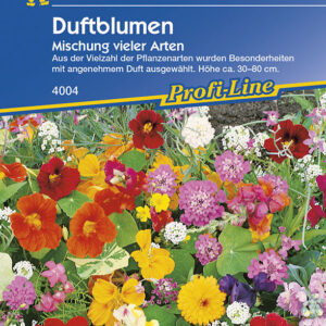 Blumenmischung Duftblumen | angenehm duftende Blumen | Höhe 30 bis 80 cm