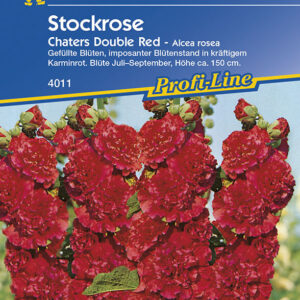 Alcea rosea Stockrosen Stockmalve Chaters Double Red