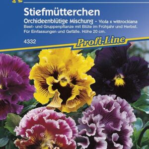 Stiefmütterchen Orchideenblütige Mischung