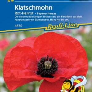 Papaver rhoeas Klatschmohn