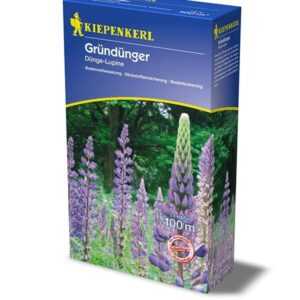 Düngelupinen Gründünger Blaue Lupinen 2kg