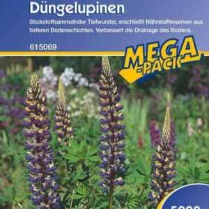 Düngelupinen Gründünger Blaue Lupinen 5kg